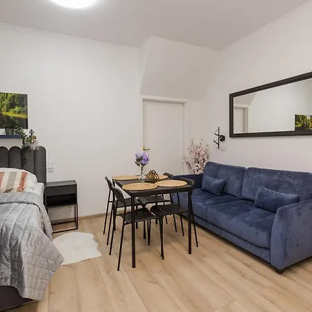Unit 22 Stadion Narodowy Park Skaryszewski Appartement *